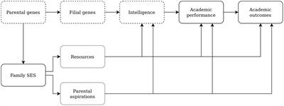 Investigating how early academic performance and parental socio-economic status predict and explain successful completion of secondary education in Germany